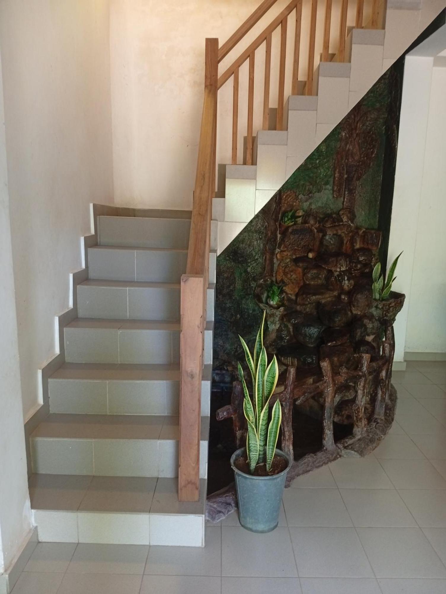 Star Villa