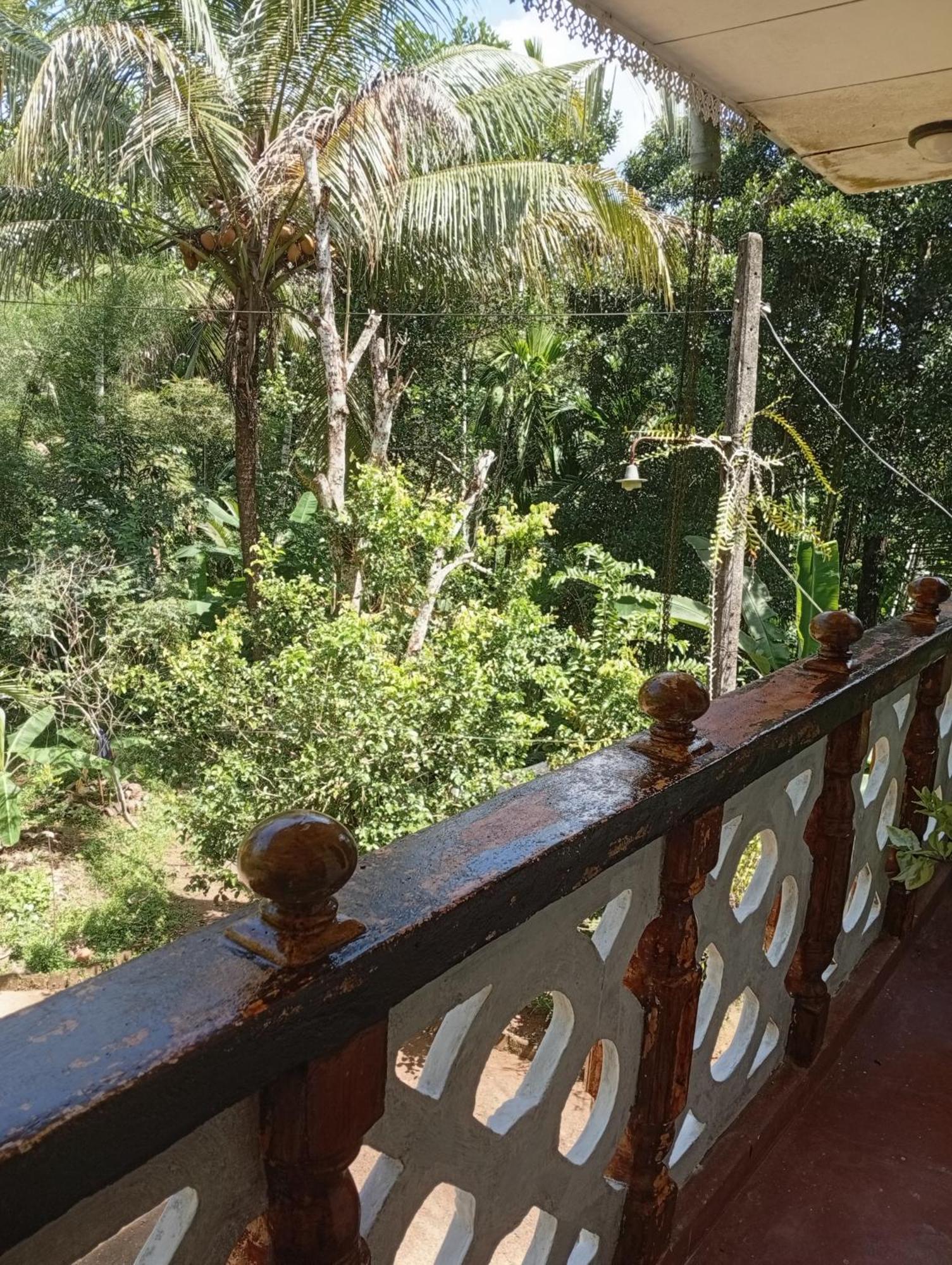 Villa Star Weligama