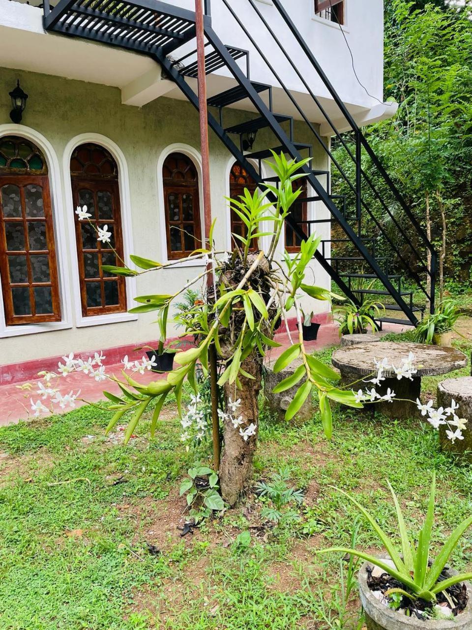 Star Villa
