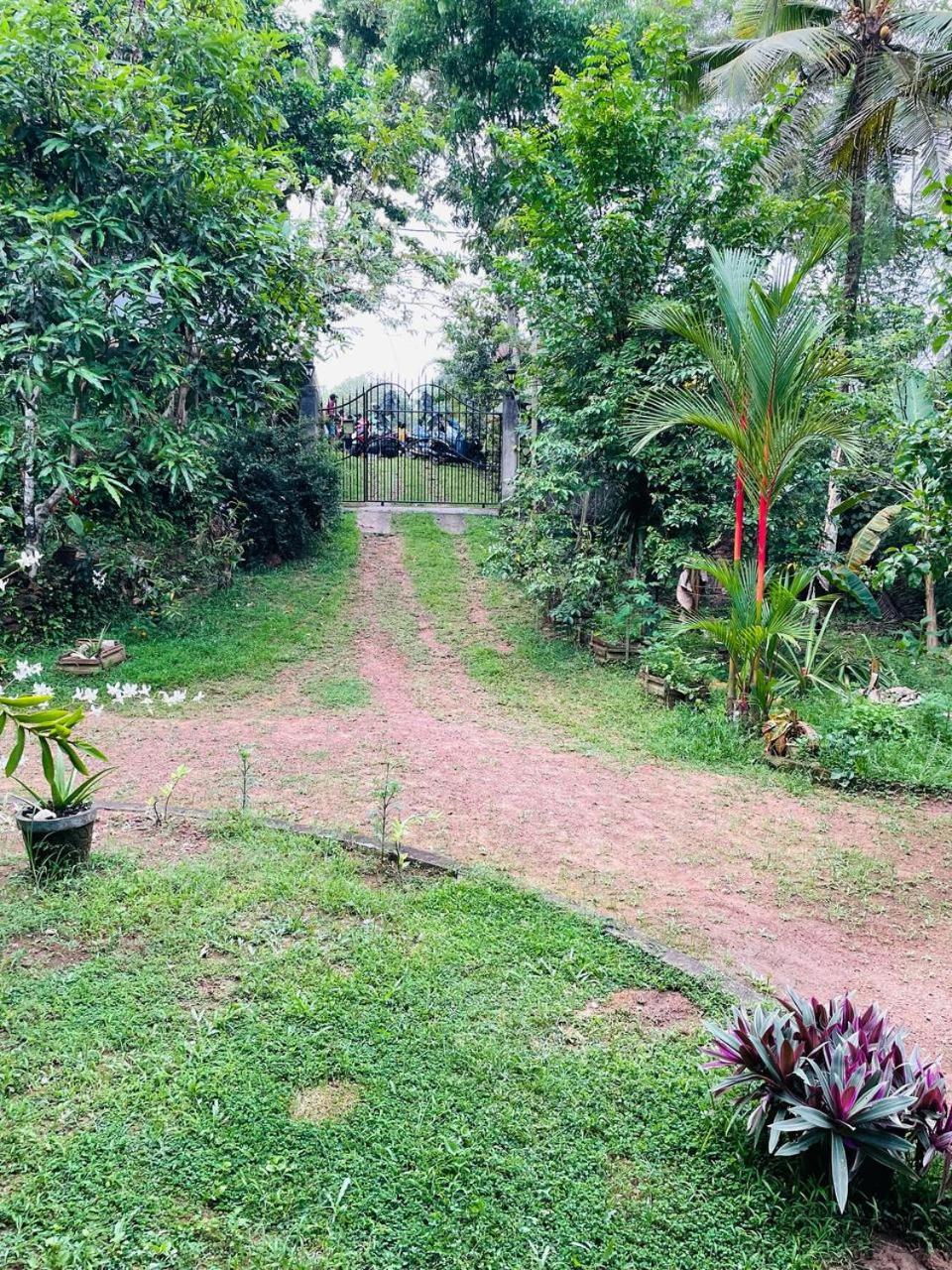 Villa Star Weligama